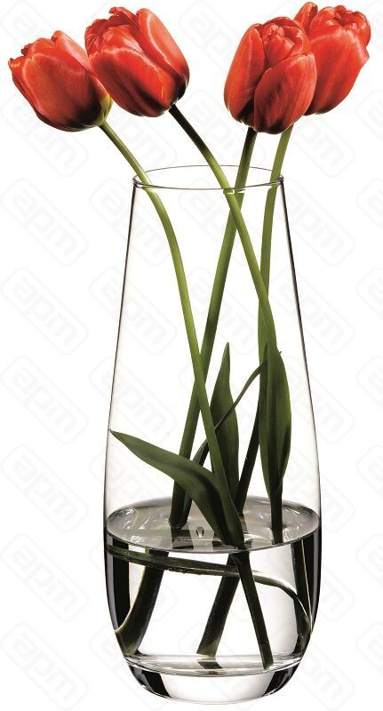 Ваза для цветов Ботаника h 260 мм стекло БОР Россия