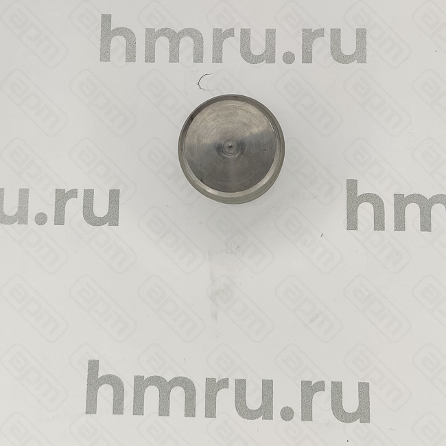 Поршень для LPFPPF-100T стандартный